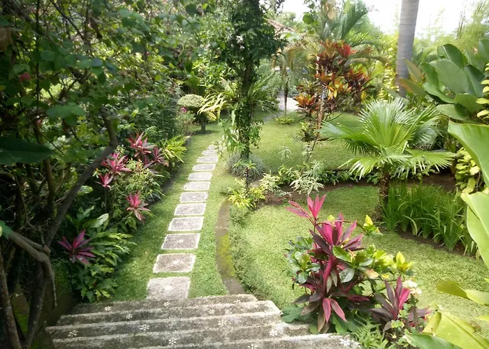 Villa Elina Lovina Beach